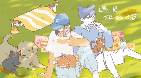 遇见你的猫攻略版