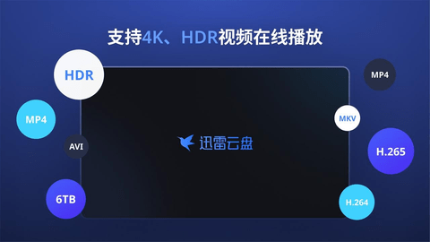 迅雷云盘TV版2025版