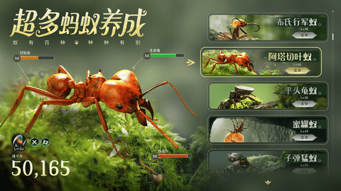 小小蚁国手游公测版