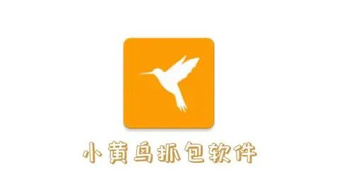 HttpCanary抓包软件