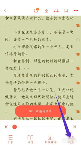 菠萝包轻小说永久会员版