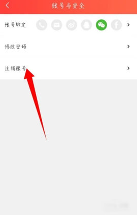 菠萝包轻小说永久会员版