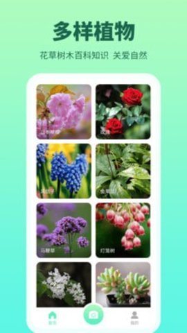 花多多免费版