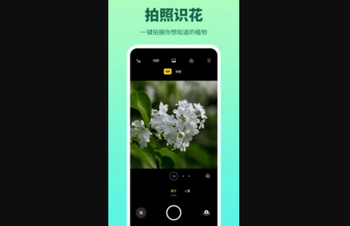 花多多免费版