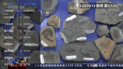影视仓TV去广告免费版
