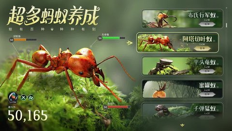 守望家园手游破解版