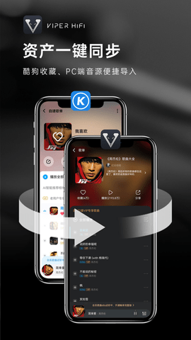 VIPERHiFi2022破解版