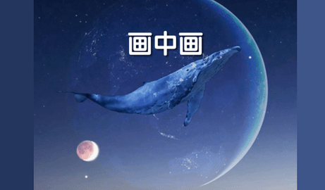 剪影去水印版