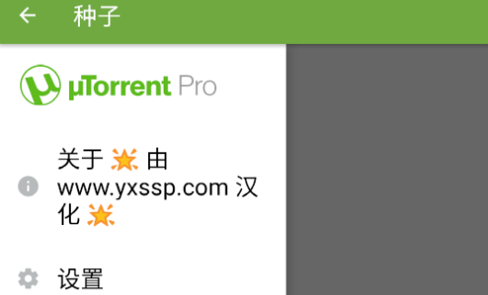 μTorrent Pro种子下载器