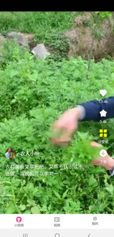 聚宝看看App红包版
