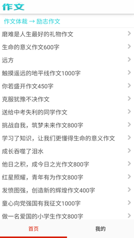 满分100分作文免费版