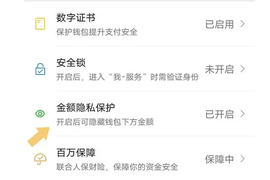 微信零钱通怎么隐藏金额 零钱通隐藏金额操作方法