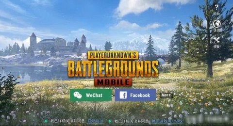 PUBG MOBILE(国际服)正版