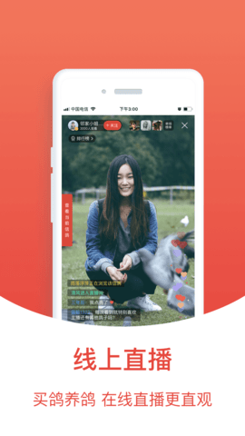 赛鸽头条App升级版