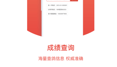 赛鸽头条App升级版