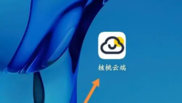 核桃云端不升级破解版