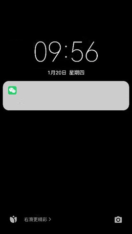 社恐快跑无水印版