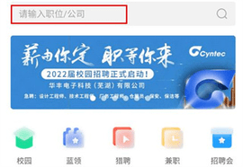 新安人才网APP高薪版
