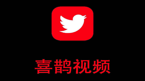 喜鹊视频APP纯净版