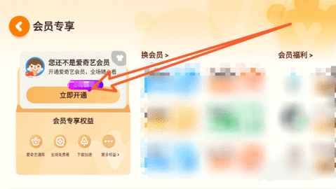 奇巴布动画片免费版本