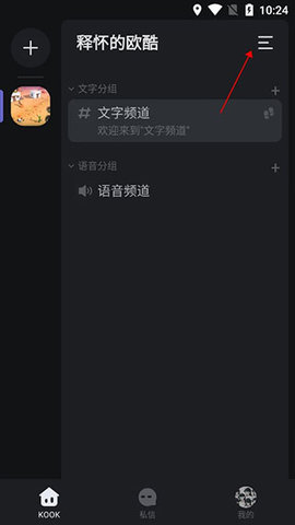 kook语音2024最新版