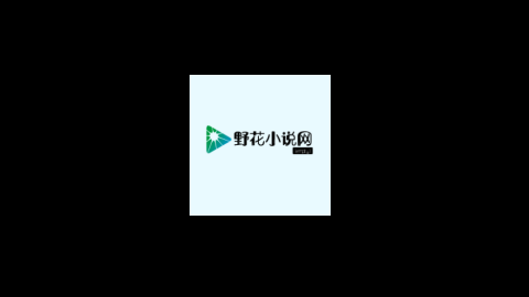 野花小说网2024最新版
