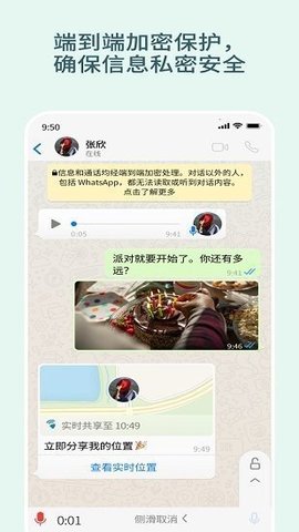 whatsapp破解版