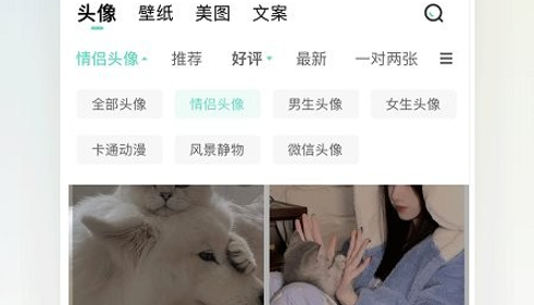 我要头像解锁VIP会员版