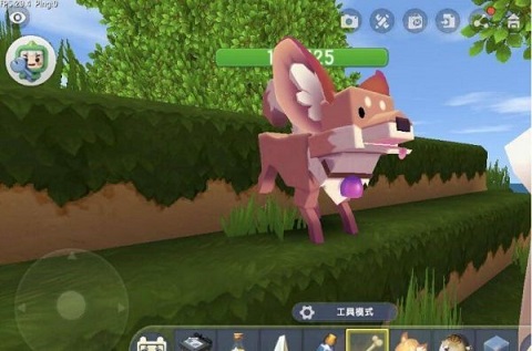 迷你世界如何驯服狐狸 迷你世界驯服狐狸方法
