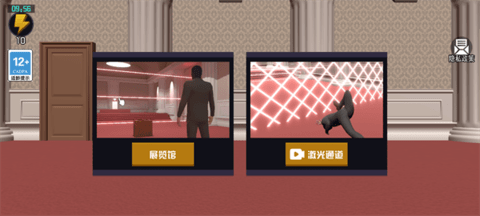 The Professional免费版