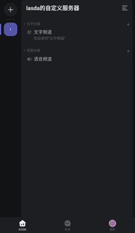 kook语音安卓版