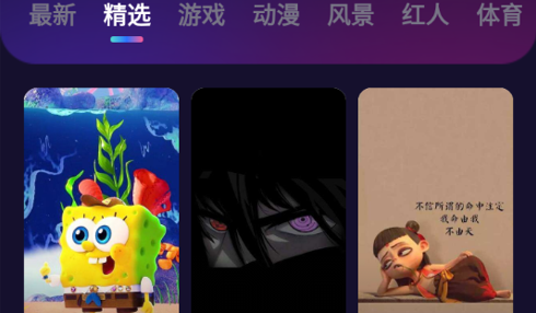 趣多多壁纸破解版