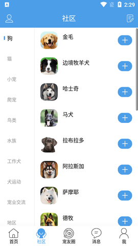 宠物之家2023最新版