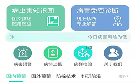 葡萄医生手机版