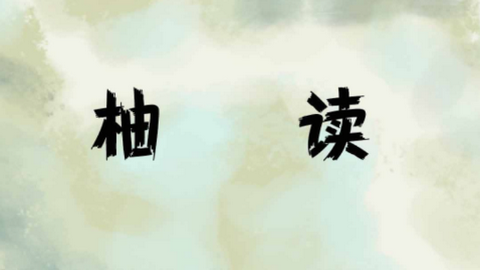 柚读小说无广告纯净版