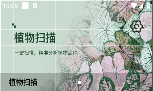 大蒜工具盒子手机版