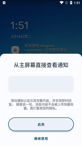 Niagara Launcher免费版