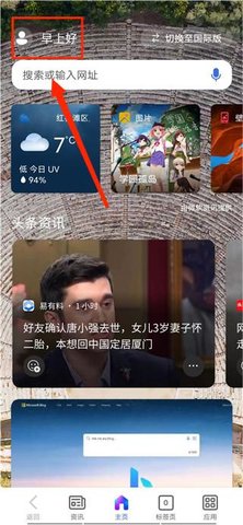 必应搜索引擎国内版