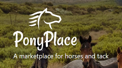 PonyPlace马匹交易平台
