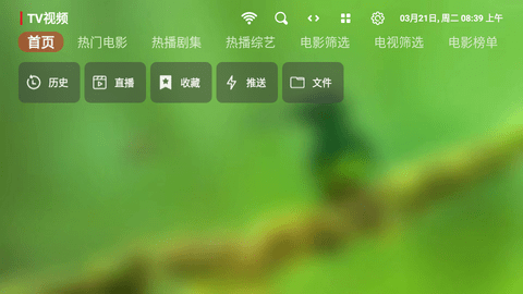 蜂蜜TV电视盒子版