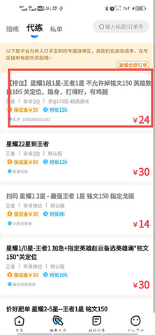 代练丸子永久会员版