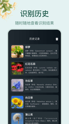 小园丁免费版