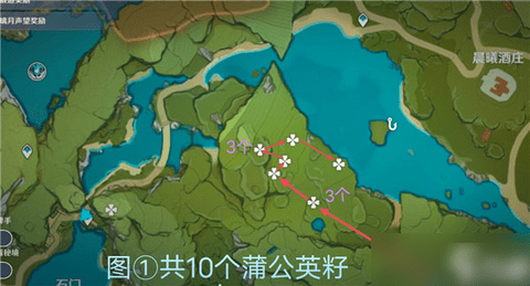 原神蒲公英籽怎么采集 原神蒲公英籽采集路线攻略