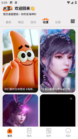 悟空桌面壁纸手机版