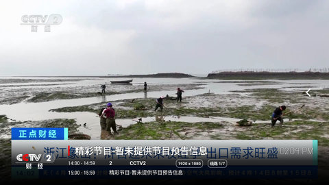 新柠檬TV纯净版