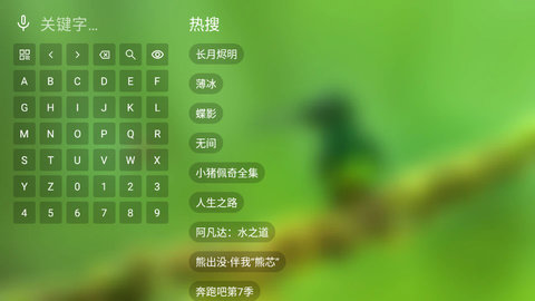 春风影视tv纯净版