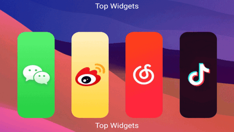 TopWidgets苹果版