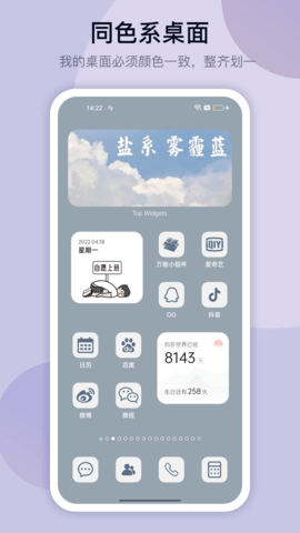 TopWidgets苹果版