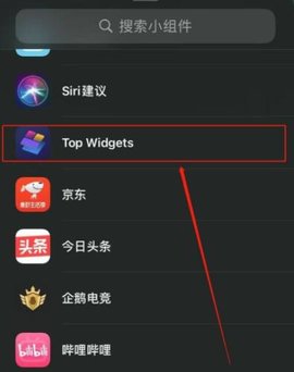 TopWidgets苹果版