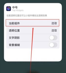TopWidgets苹果版
